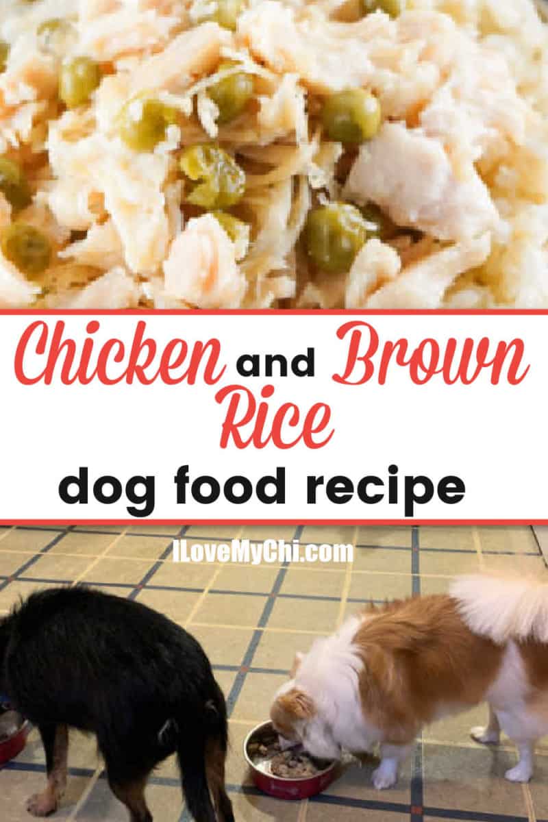 Chicken and Brown Rice Dog Food Recipe - I Love My Chi