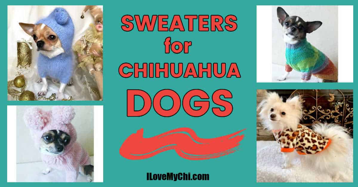 toy chihuahua sweaters