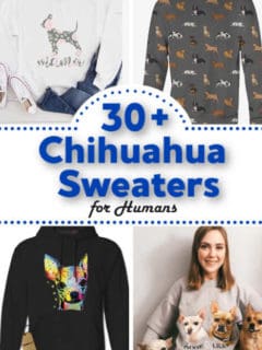 various chihuahua sweaters for people