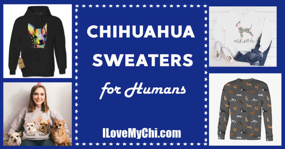 chihuahua sweaters for humans