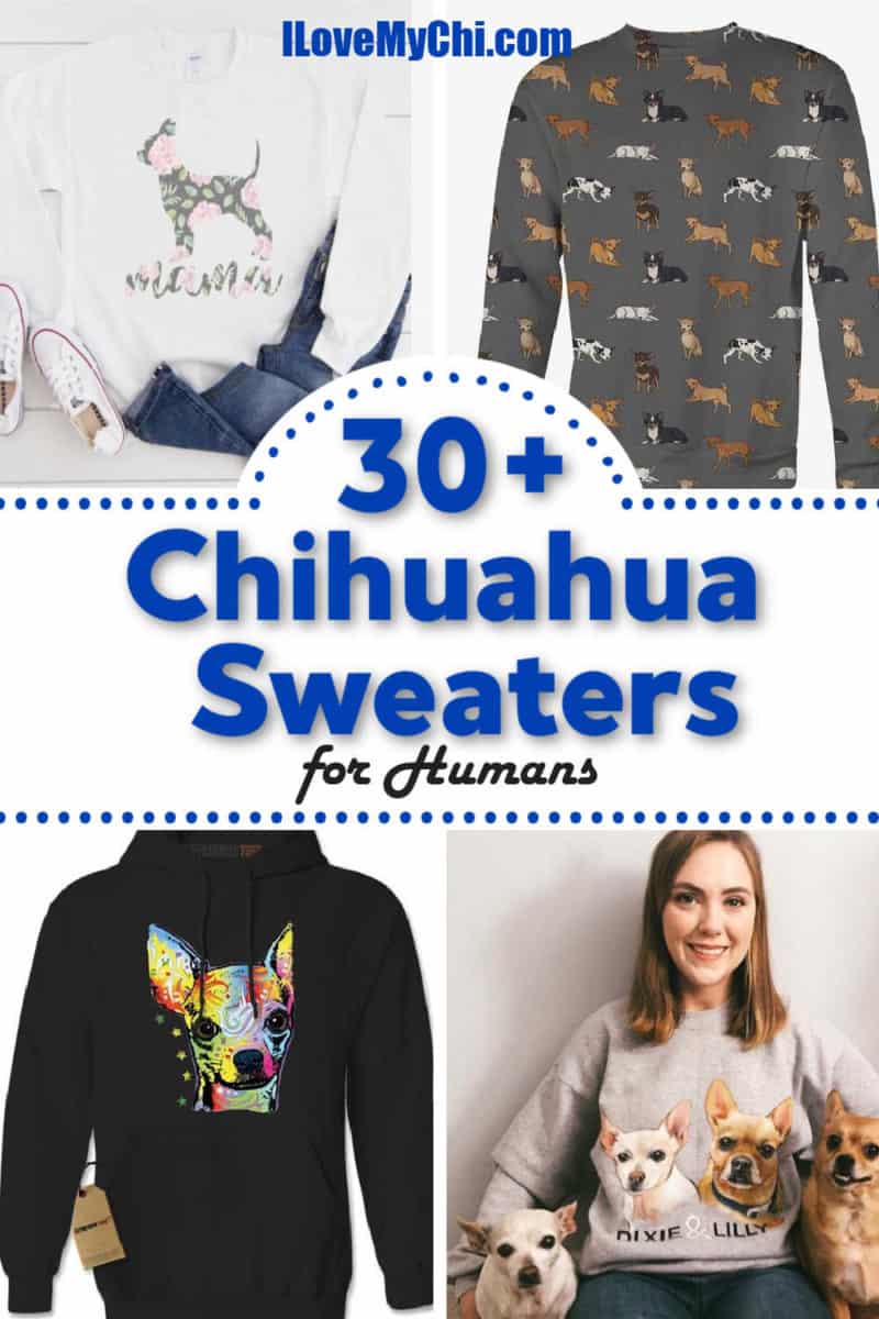 toy chihuahua sweaters