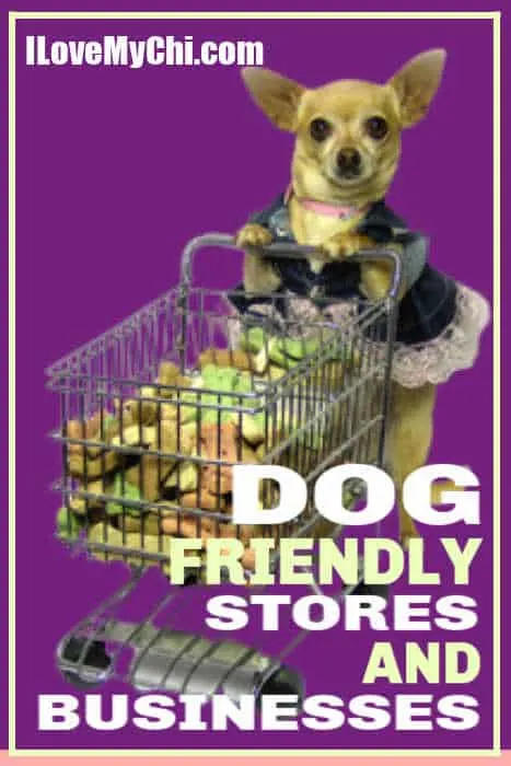 Dog friendly hotsell shopping near me