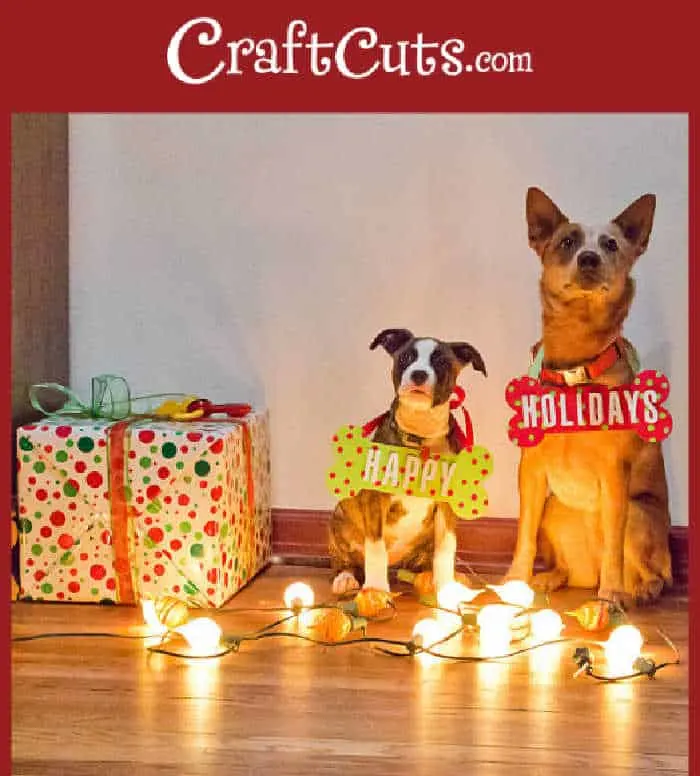 Festive Activities for You, Your Family And Your Dog