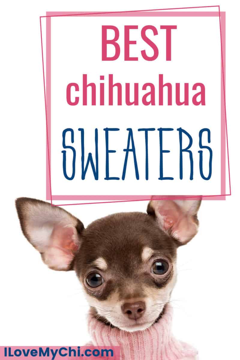 toy chihuahua sweaters