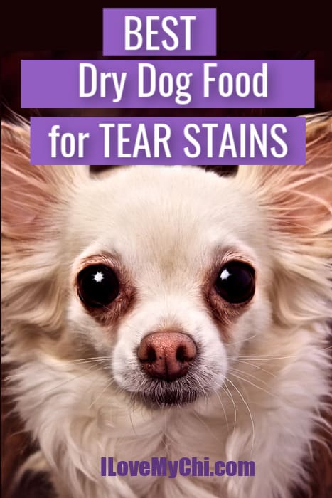 What Ingredient in Dog Food Causes Tear Stains? 2