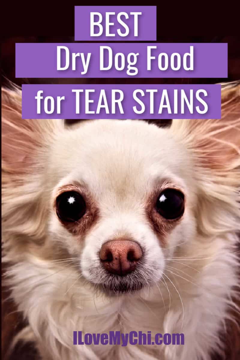 Best Dry Dog Food For Tear Stains I Love My Chi