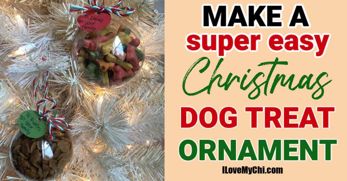 Make a Dog Treat Ornament - I Love My Chi