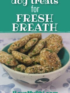 fresh breath treats in bowl