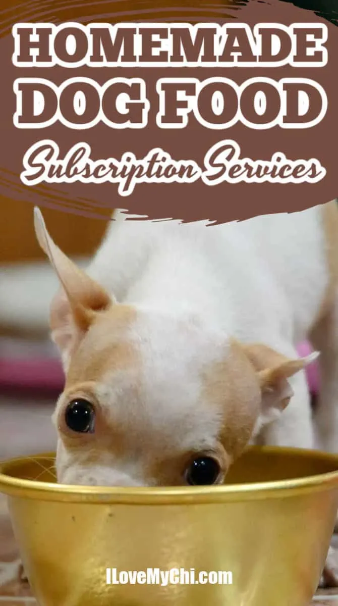 https://ilovemychi.com/wp-content/uploads/2021/01/Homemade-Dog-Food-Subscription-Services.jpg.webp