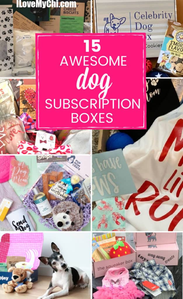 15 Awesome Dog Subscription Boxes I Love My Chi