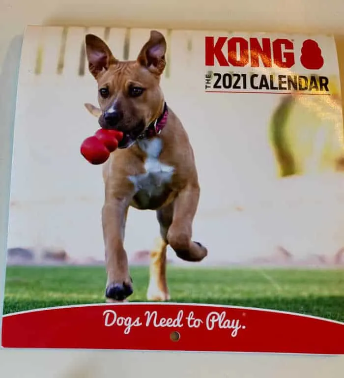 Kong Calendar
