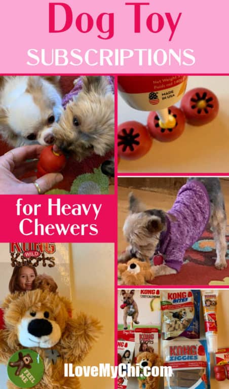 stuffed dog toys for heavy chewers