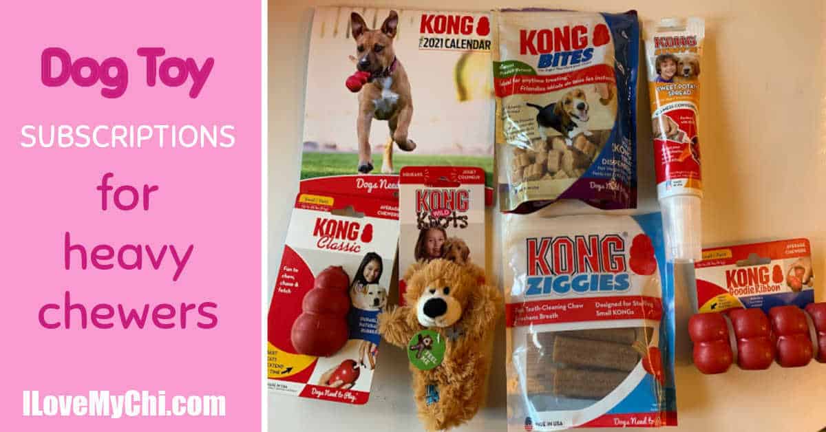 Dog toy subscription outlet box for heavy chewers