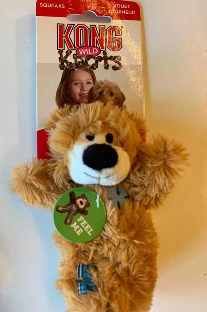 teddy bear dog toy