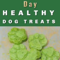 green dog treats