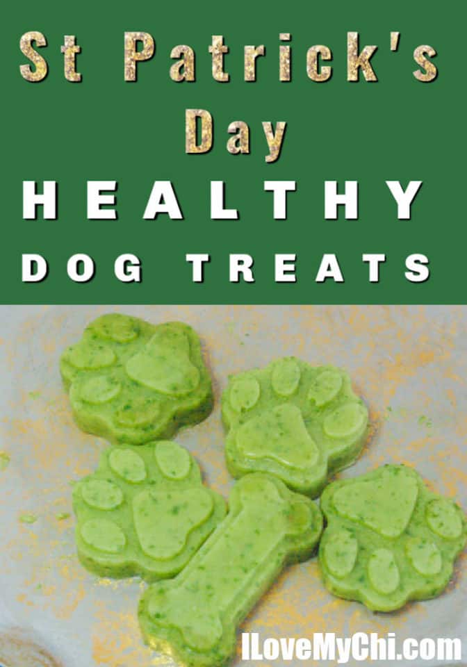 St Patricks Dog Treats - I Love My Chi