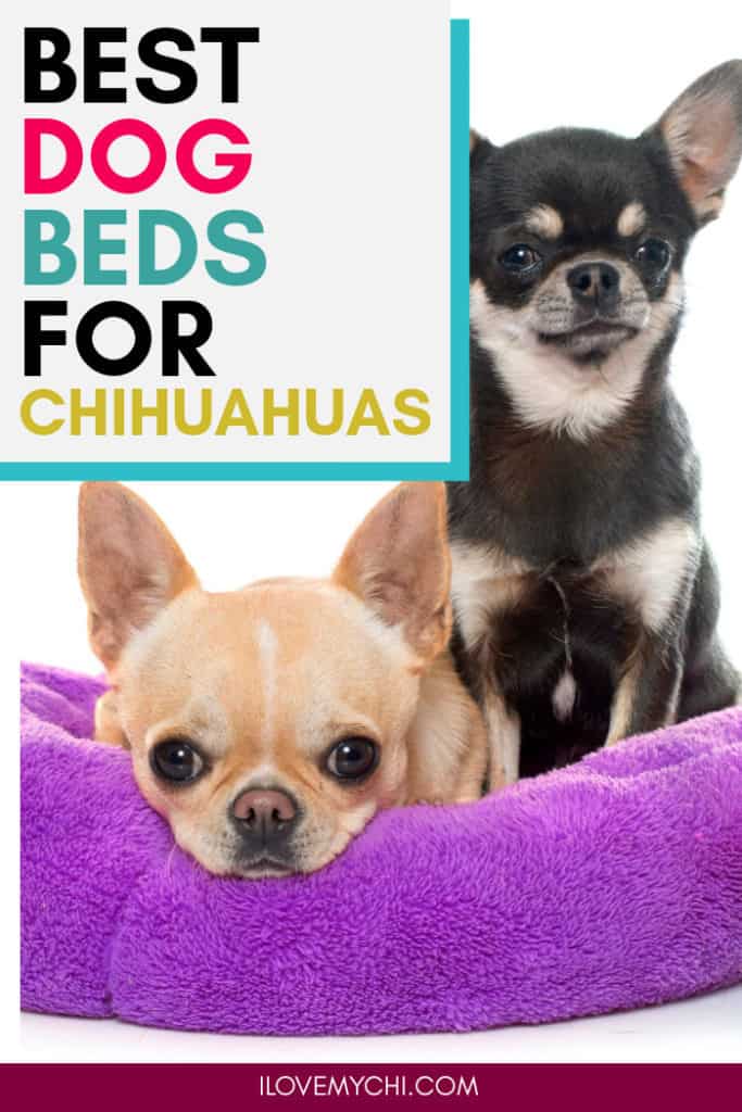 Best Dog Beds for Chihuahuas I Love My Chi