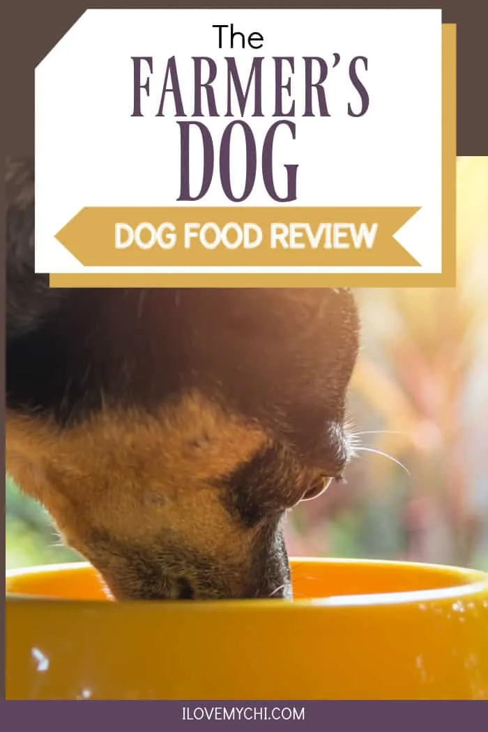 The Farmers Dog Dog Food Review I Love My Chi