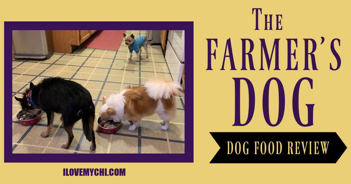 The farmer's outlet dog vet reviews