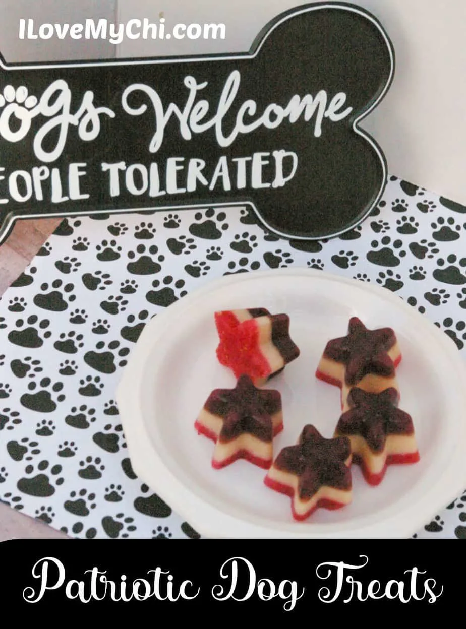 star dog treats on plate