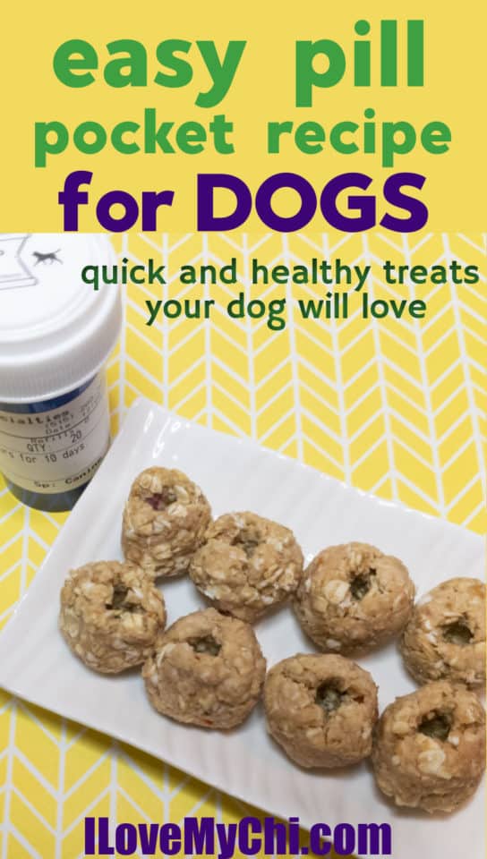 Make Your Own Pill Pockets for Dogs I Love My Chi
