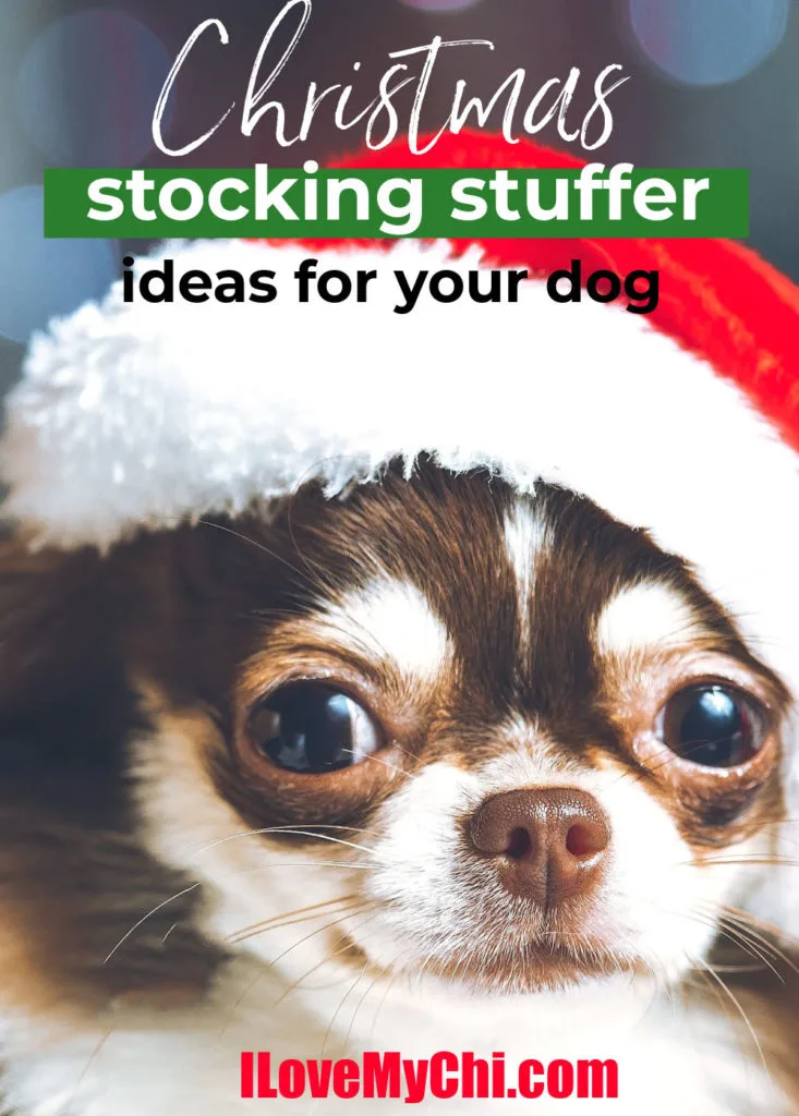 Chihuahua Christmas Dog Christmas Stocking Chihuahua Stocking