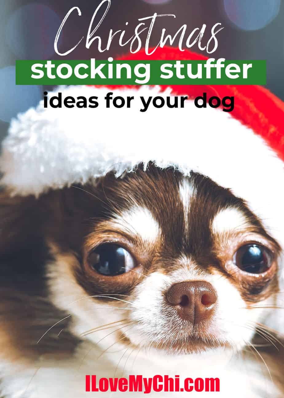 dog christmas stocking stuffers