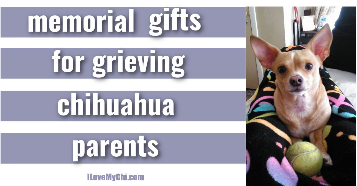 Chihuahua best sale memorial gifts