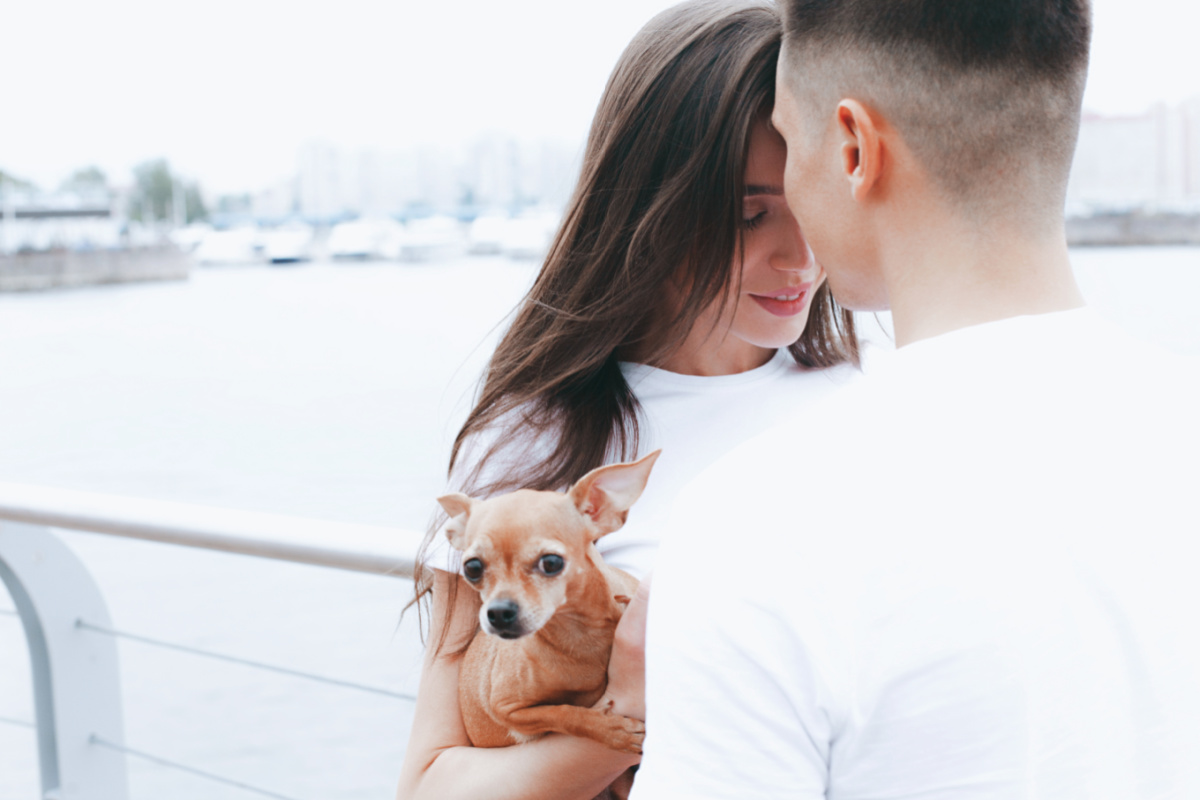 young couple with chihuahua