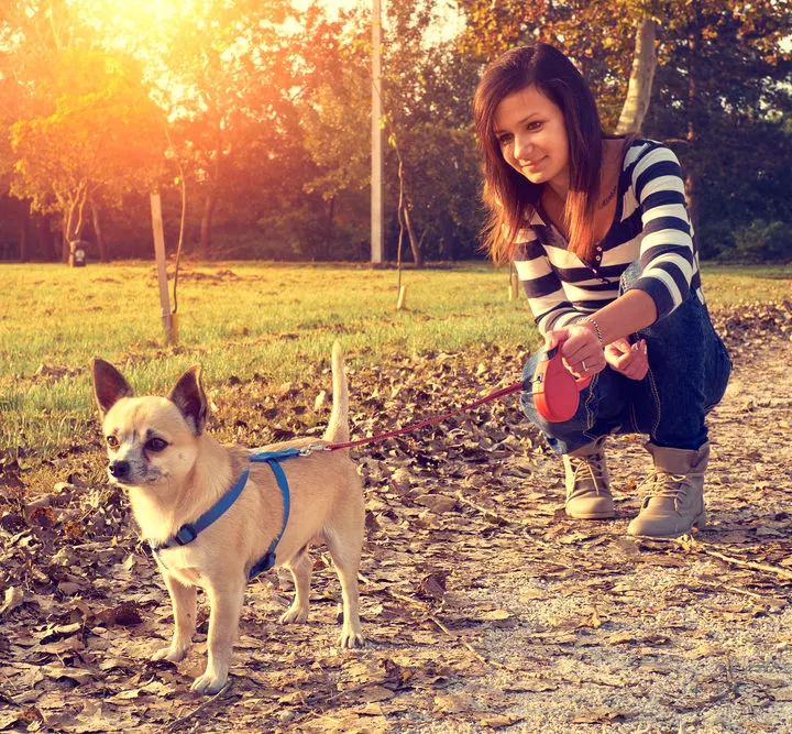 woman kneeling on path outside with chihuahua dog on leash