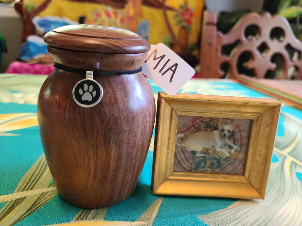 cremation urn with photo of chihuahua dog by it