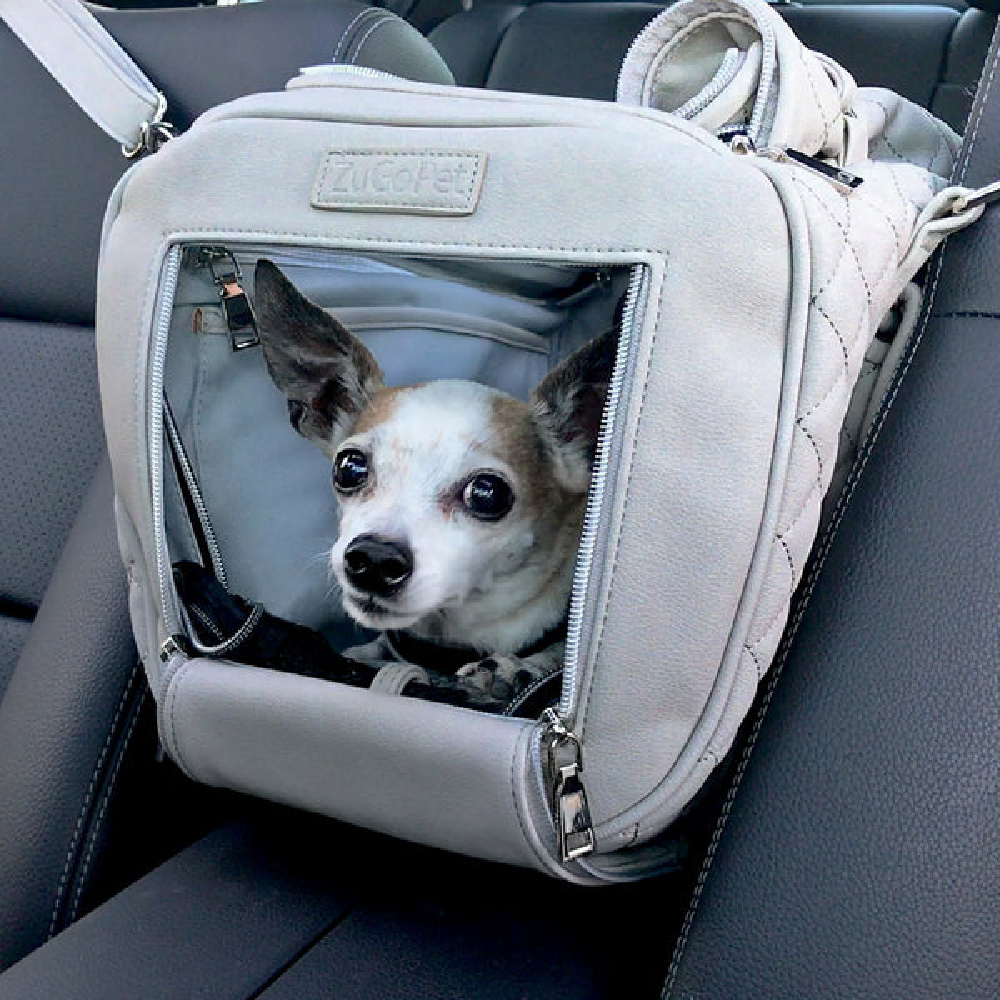 jetsetter car dog carrier with chihuahua in it