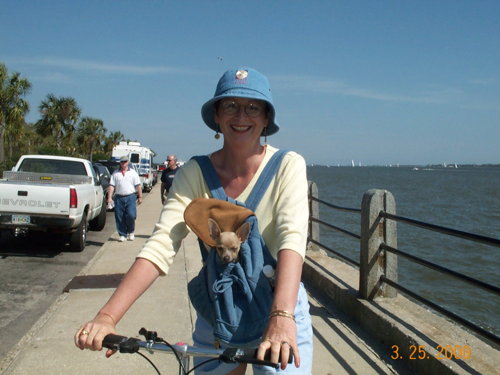 woman on bike with chihuahua in carrier