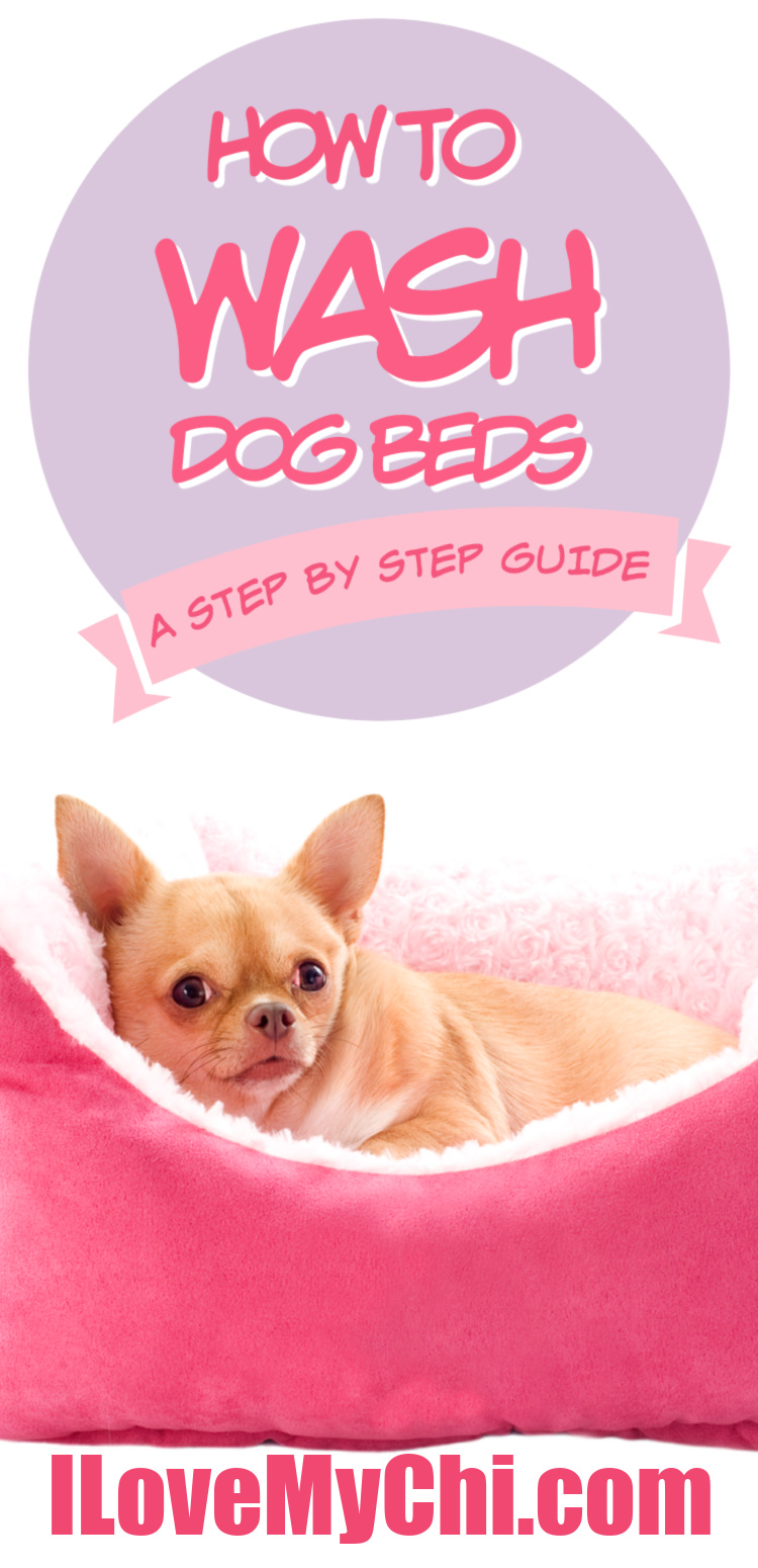 How to Wash Dog Beds A StepbyStep Guide I Love My Chi