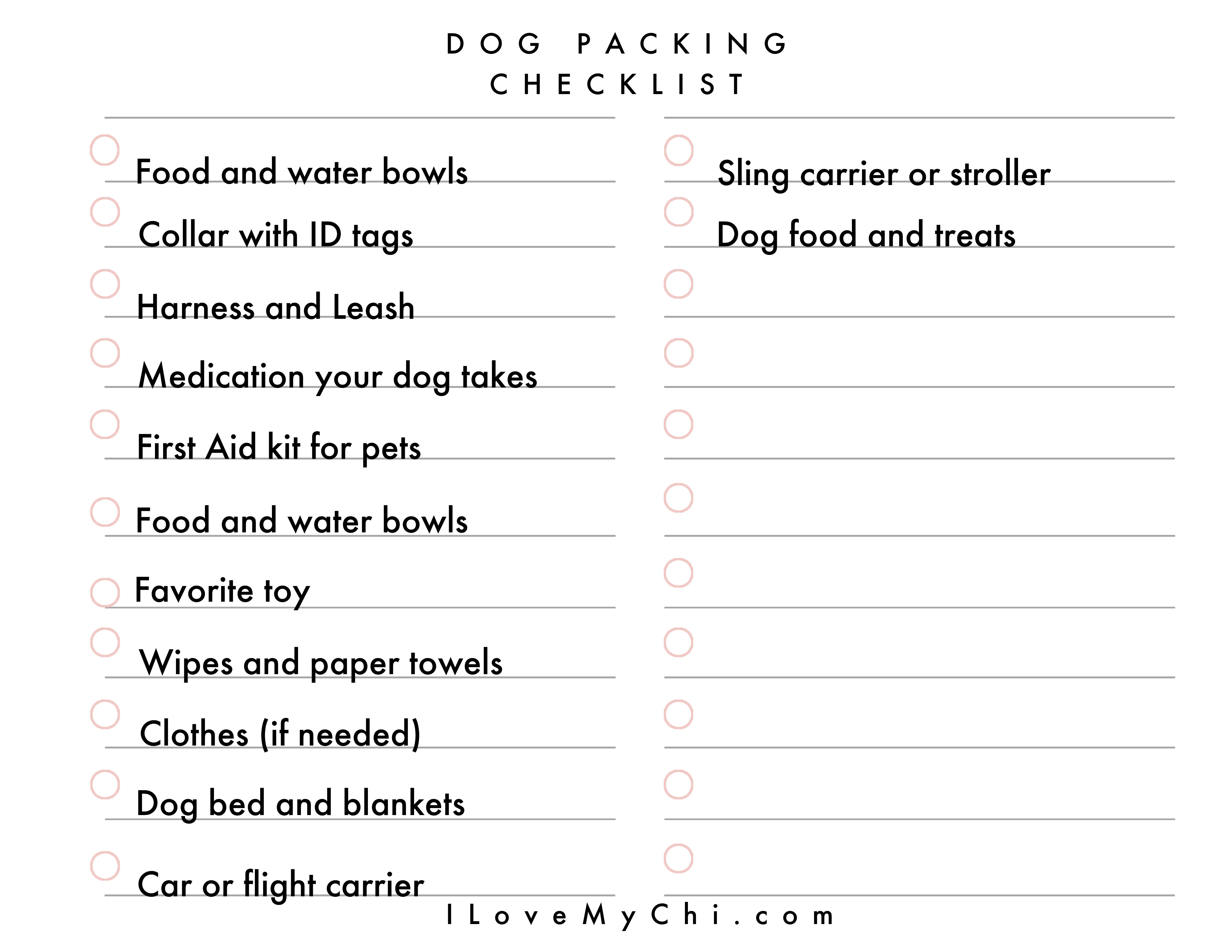 what-to-bring-when-traveling-with-a-dog-i-love-my-chi