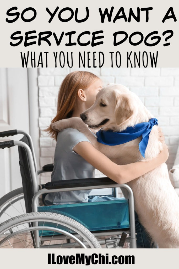 little girl in wheel chair hugging service dog