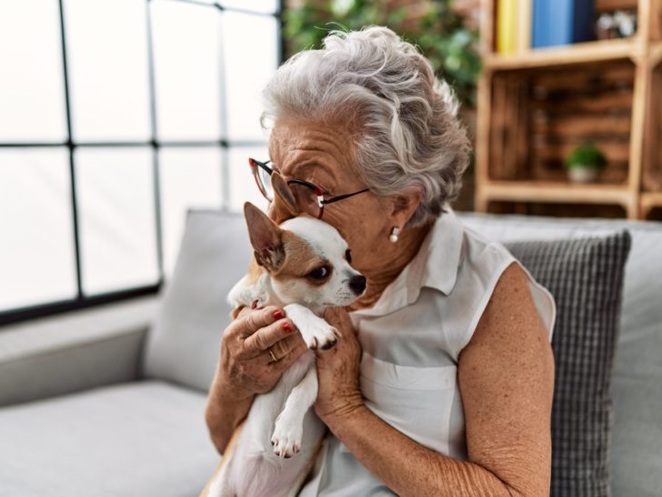 elderly woman hugging chihuahua