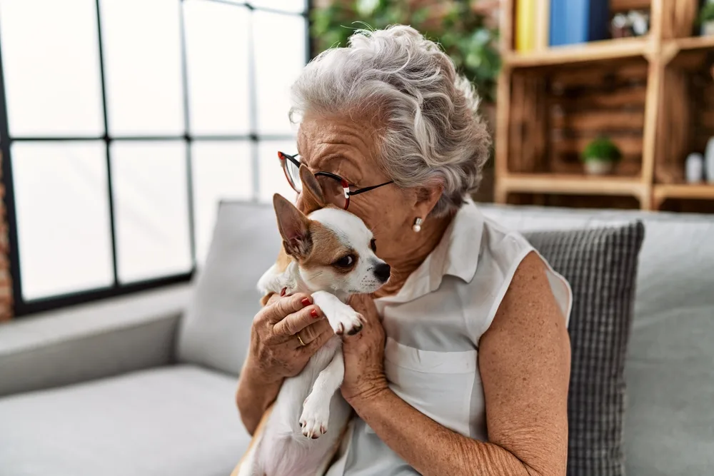 elderly woman hugging chihuahua