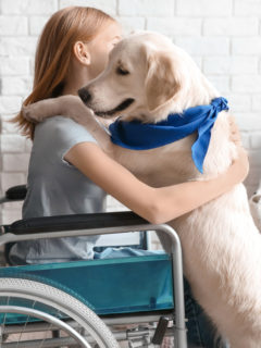 ittle girl in wheel chair hugging service dog