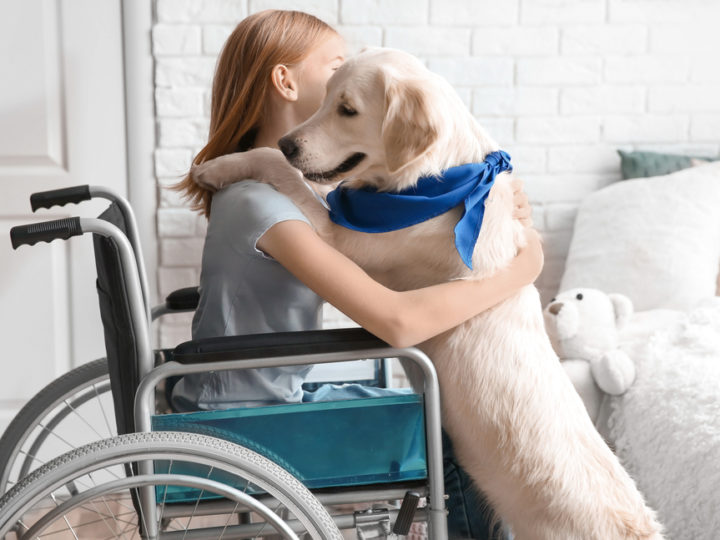 ittle girl in wheel chair hugging service dog
