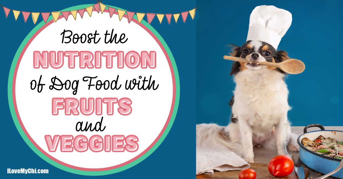 Incorporating Fruits and Veggies into Your Dog's Diet - Preparing Fruits and Veggies for Your Dog