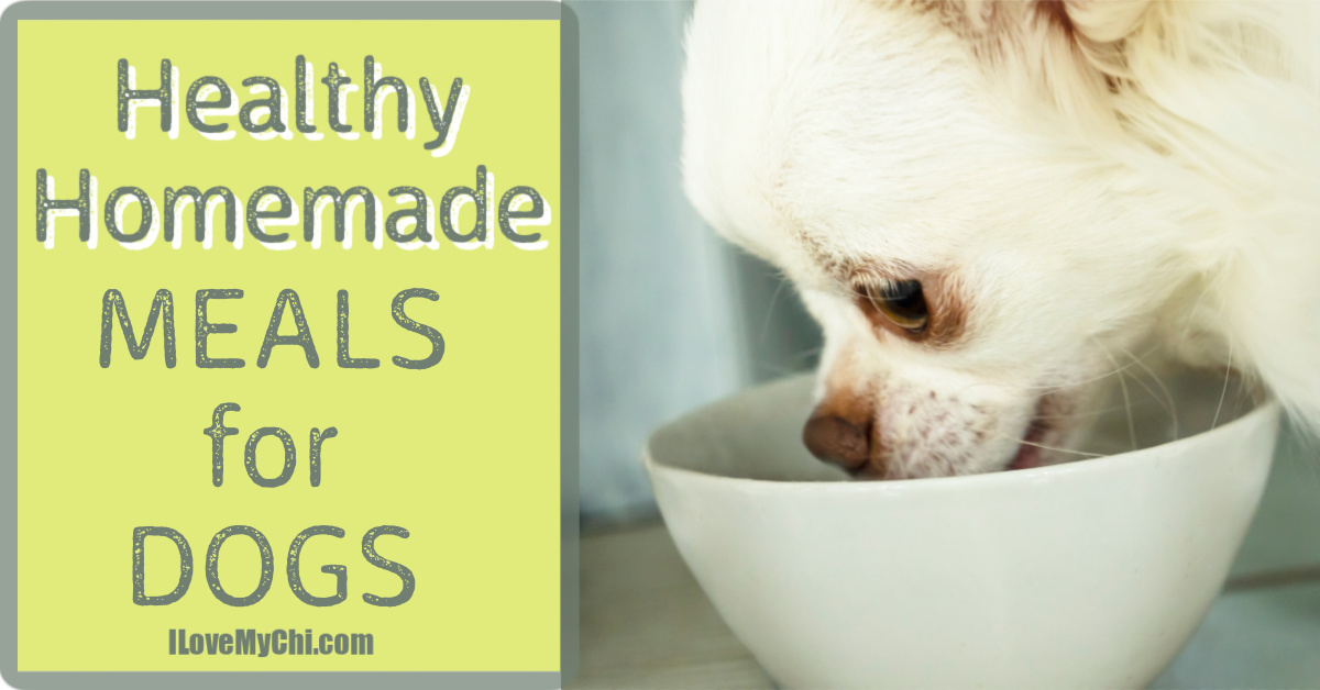 The Easy Way To Make Your Dog's Food - I Love My Chi