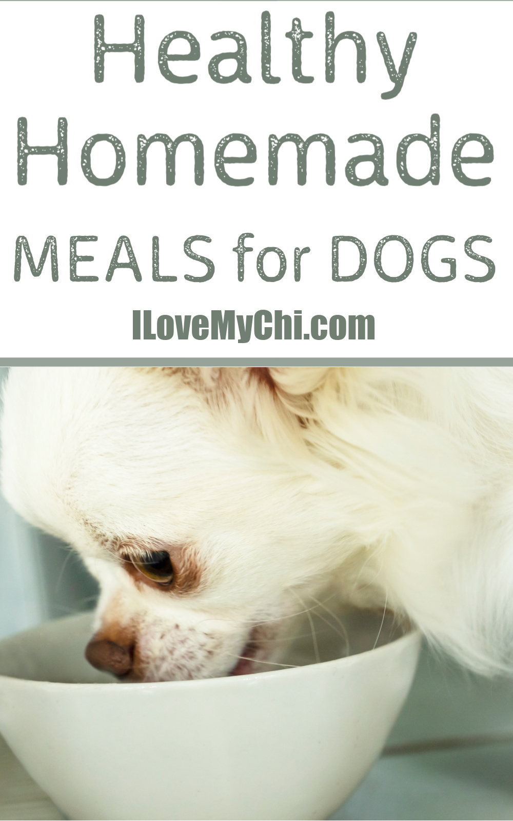 The Easy Way to Make Your Dog's Food - I Love My Chi