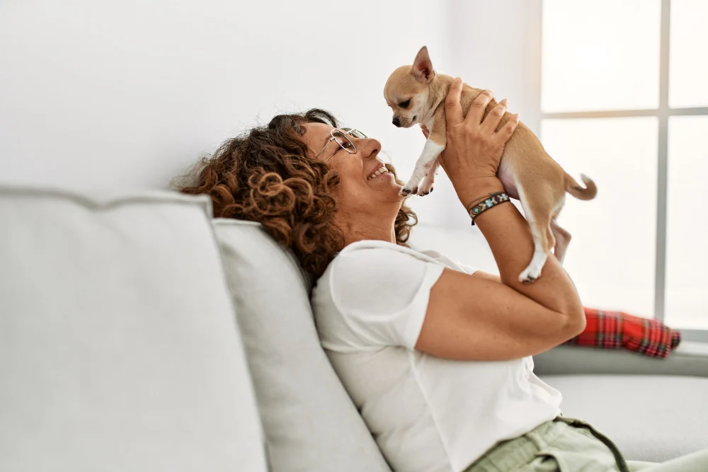 woman on white couch holding chihuahua