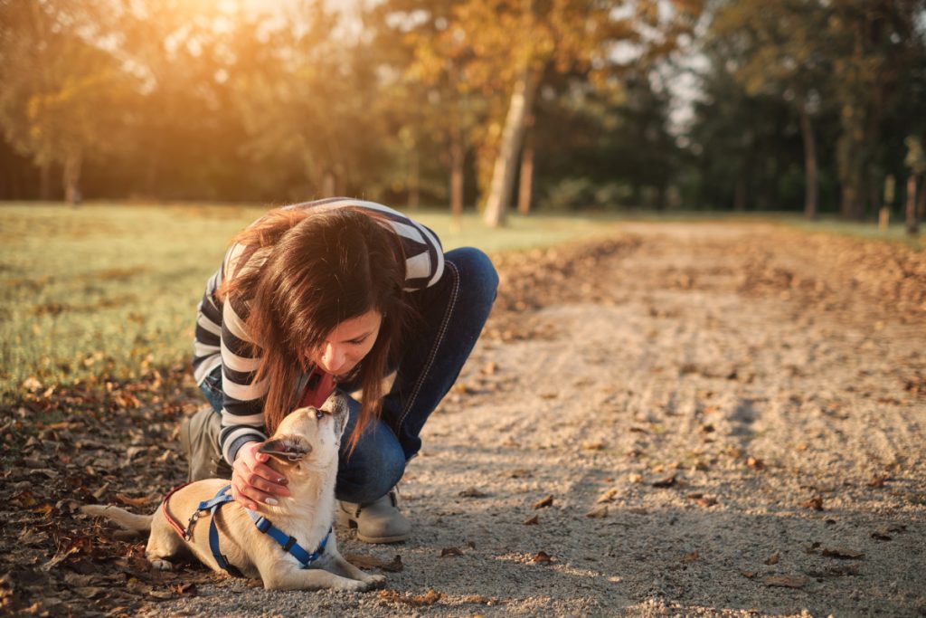 woman leaning down with chihuahua outside 