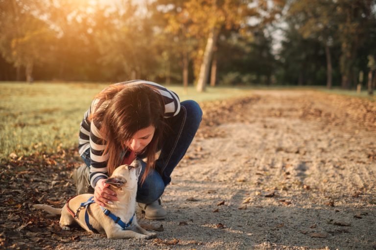 woman outside leaning down petting chihuahua