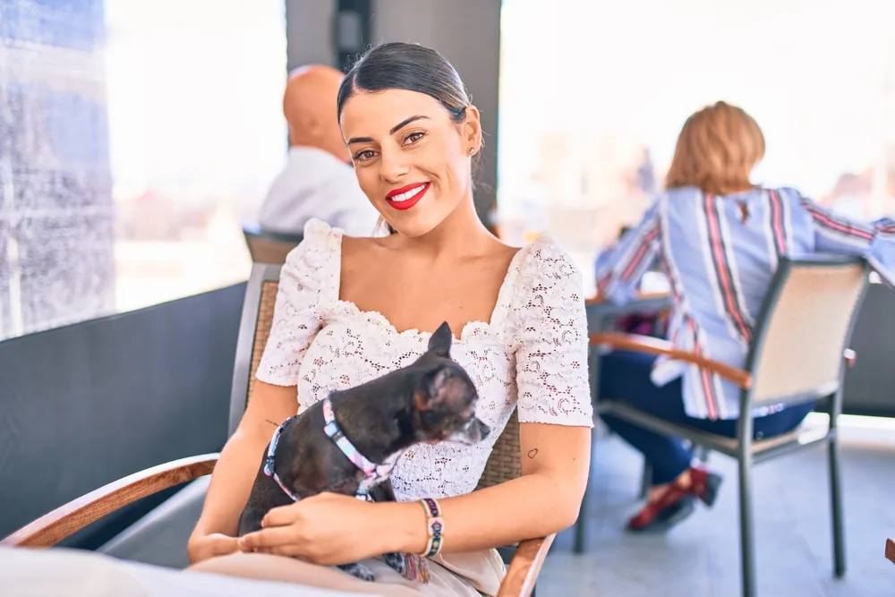 smiling brunette woman sitting in cafe holding chihuahua