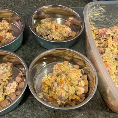 Homemade Dog Food Recipe