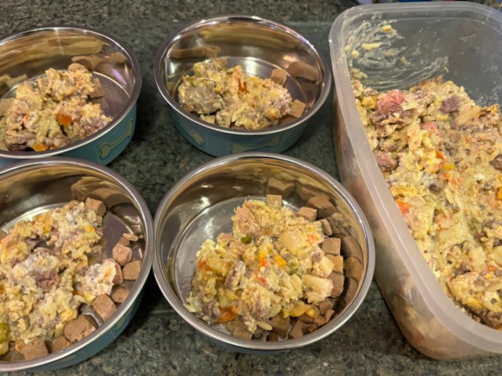 4 dog bowls of homemade dog food and container