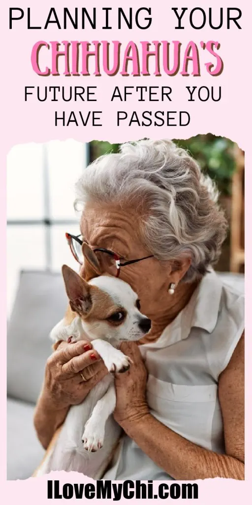 Elderly lady hugging a Chihuahua.